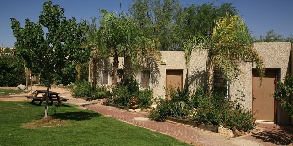 בצל התמרים tzelon4.jpg