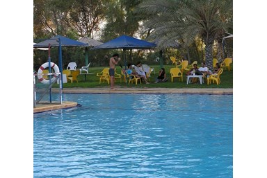 בצל התמרים - החצר והסביבה