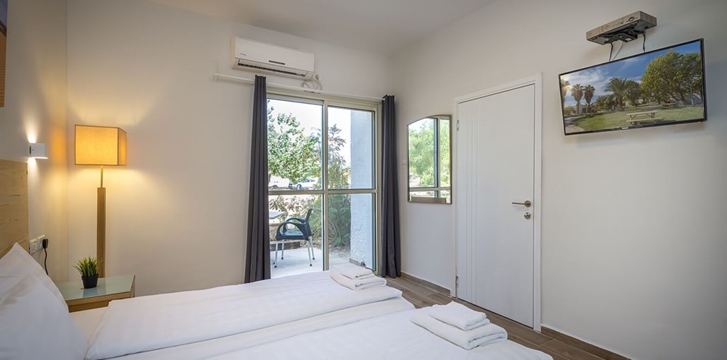 בצל התמרים תמרים חדשות 20.3 (4).jpg