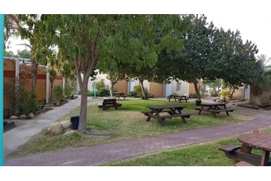 בצל התמרים - החצר והסביבה