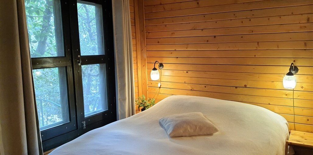 ארץ הגליל אלון (5).jpg