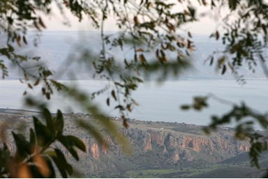 שוויץ באמירים - צימרים וספא