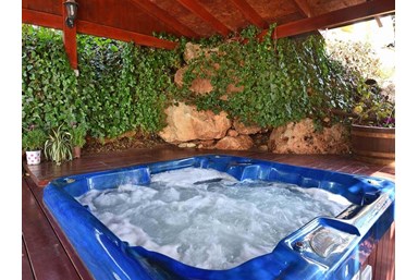 נופש נאמן באמירים - החצר