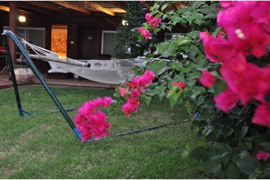 בקצה הכנרת - החצר, הנוף והג'קוזי