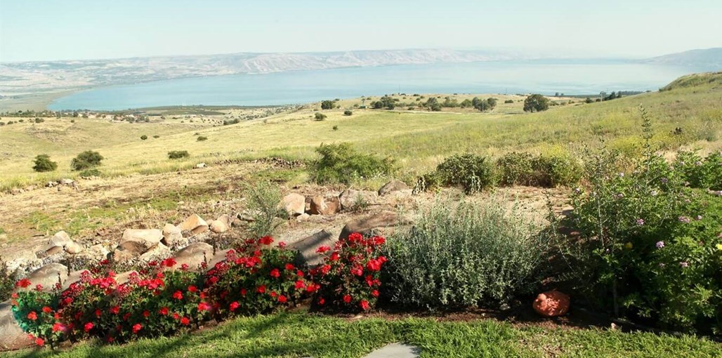 בקצה הכנרת חצר (7).jpg