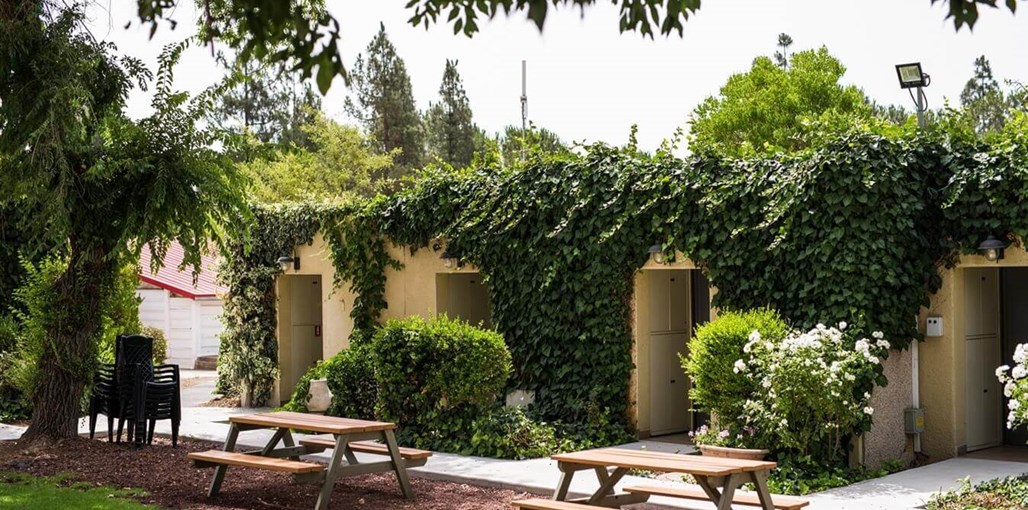 קיבוץ אורטל - תיירות קיבוץ אורטל סטנדרט (6).jpg