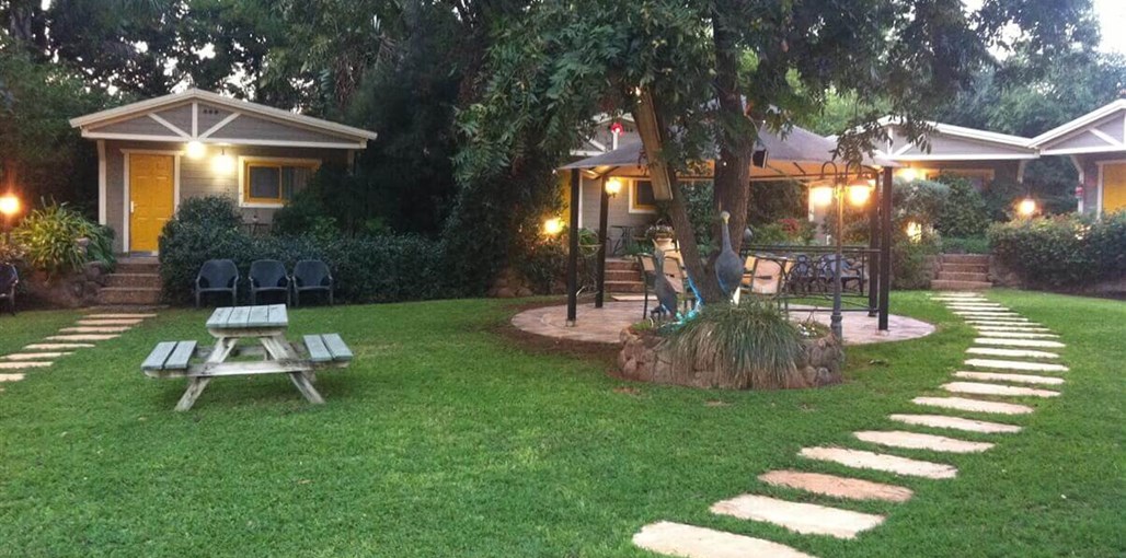 חלום יעקב חצר (3).JPG