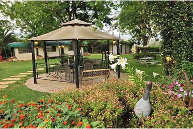 חלום יעקב - אצלנו בחצר