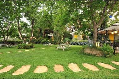 חלום יעקב - אצלנו בחצר