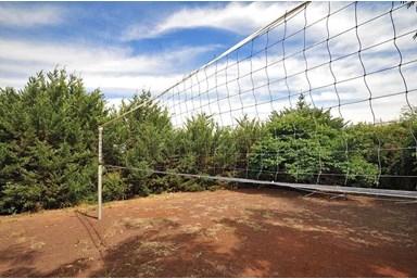 חלום יעקב - אצלנו בחצר