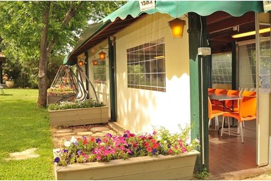 חלום יעקב - אצלנו בחצר