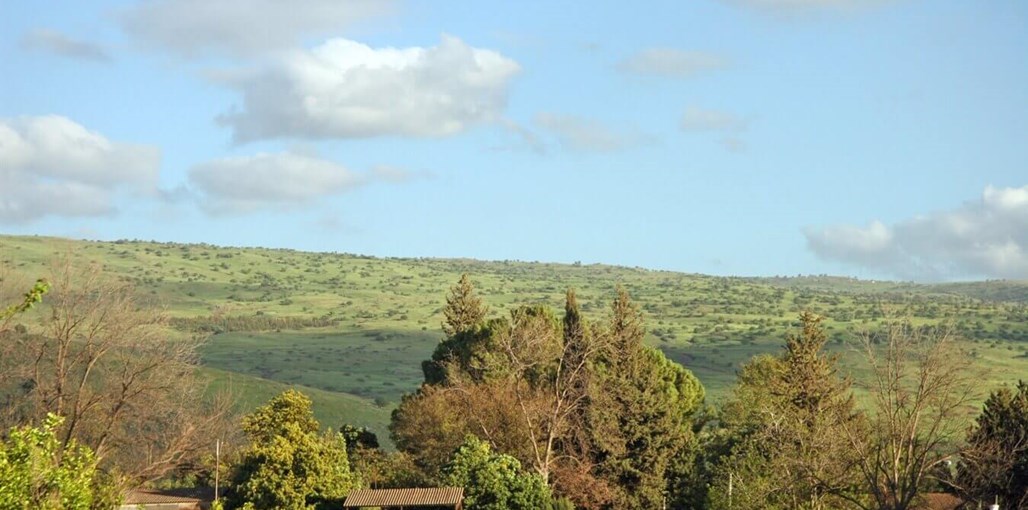 אורחן סוזי הנוף והסביבה (3).JPG
