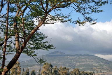 אורחן סוזי - הנוף והסביבה