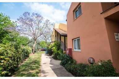 אורחן סוזי - הצימר המשפחתי