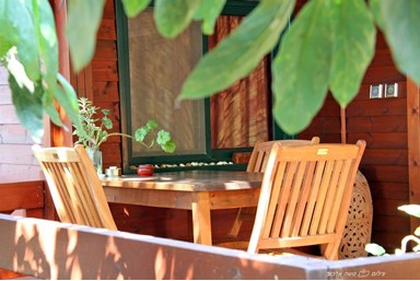 בקתה במטע - המטע, החצר והנוף 