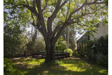 בתי נורית - בקתות למשפ' וזוגות ברמות - הבקתות המשפחתיות