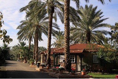 בתי נורית - בקתות למשפ' וזוגות ברמות - מתחם אירועים