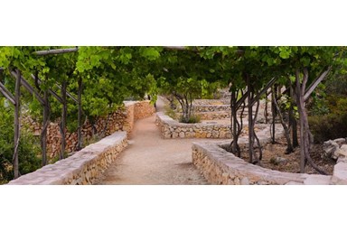 מלון לוגוס בהרים יד השמונה - הגן התנ"כי