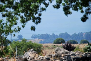 חוות נופש ורד הגליל - אטרקציות