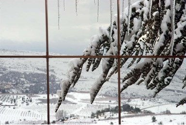 אלעזר חדרי אירוח