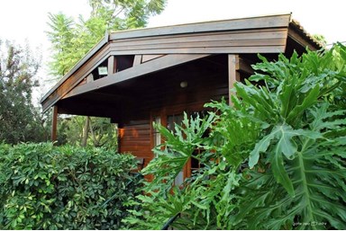 צימריץ - החצר והבריכה