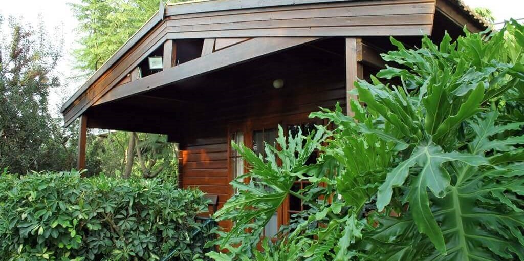 צימריץ הבקתות (1).jpg