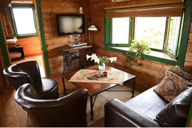 צימריץ - החצר והבריכה