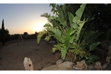 בקתות בטבע  - החצר והבריכה