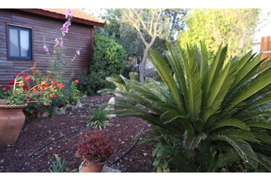 בקתות בטבע  - סוויטת יניב